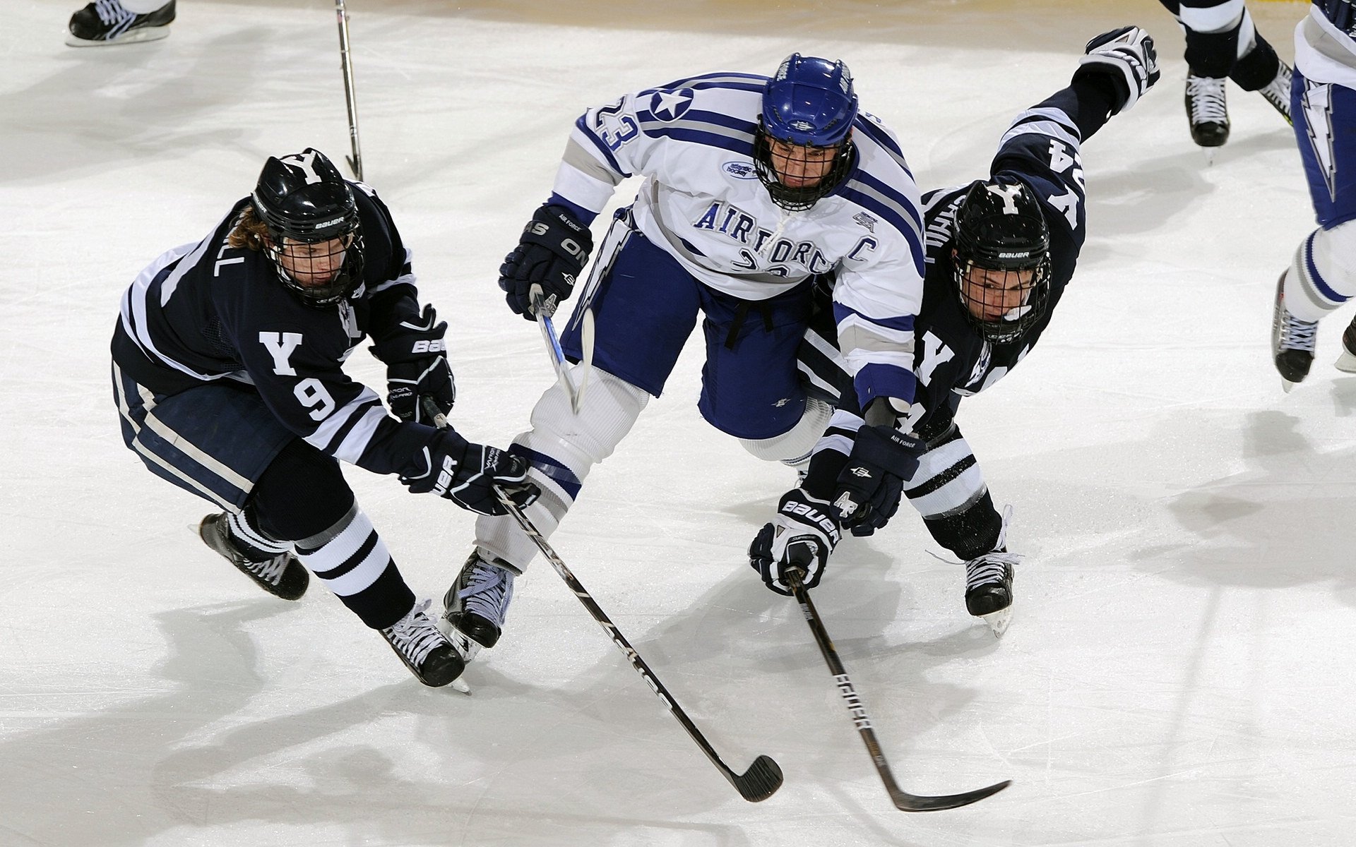 开云体育登录-西决生死战之夜，布鲁诺点燃赛场